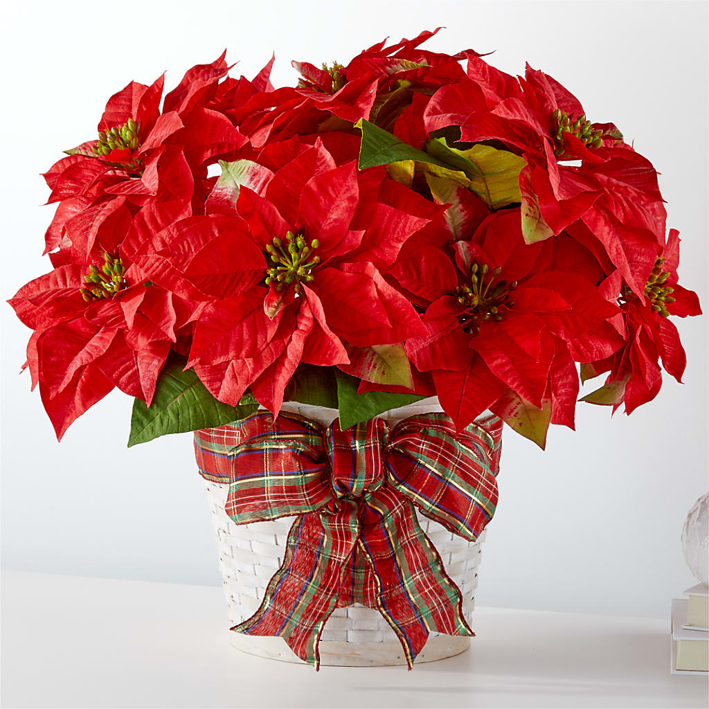 Happiest Holidays Poinsettia – Flowers By Van Brunt, Long Branch NJ