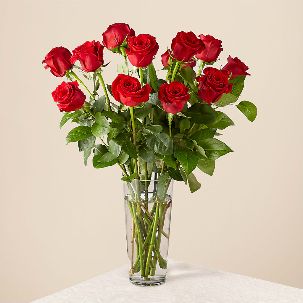 Long Stem Red Rose Bouquet – Flowers By Van Brunt, Long Branch NJ