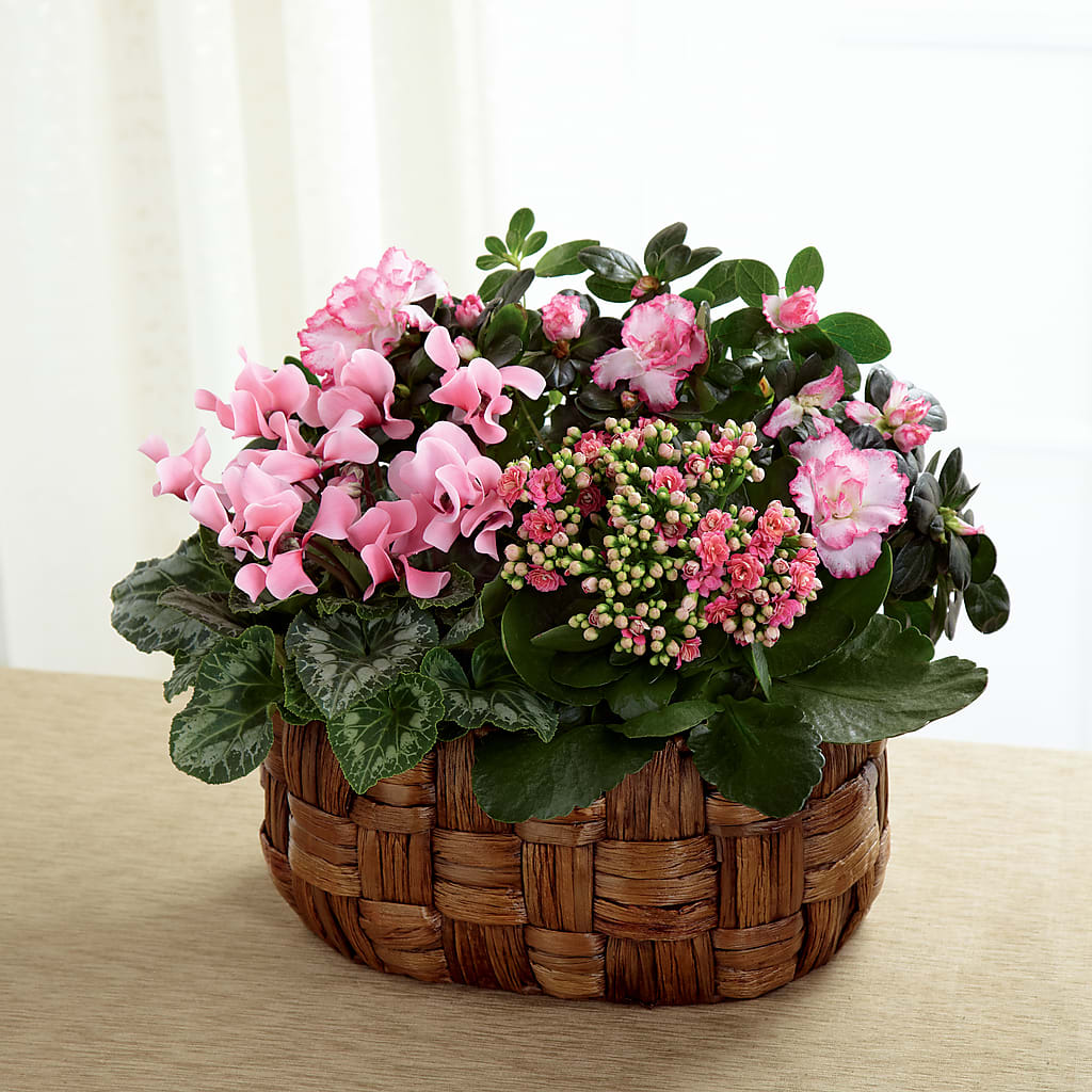 Pink Assortment – Flowers By Van Brunt, Long Branch NJ