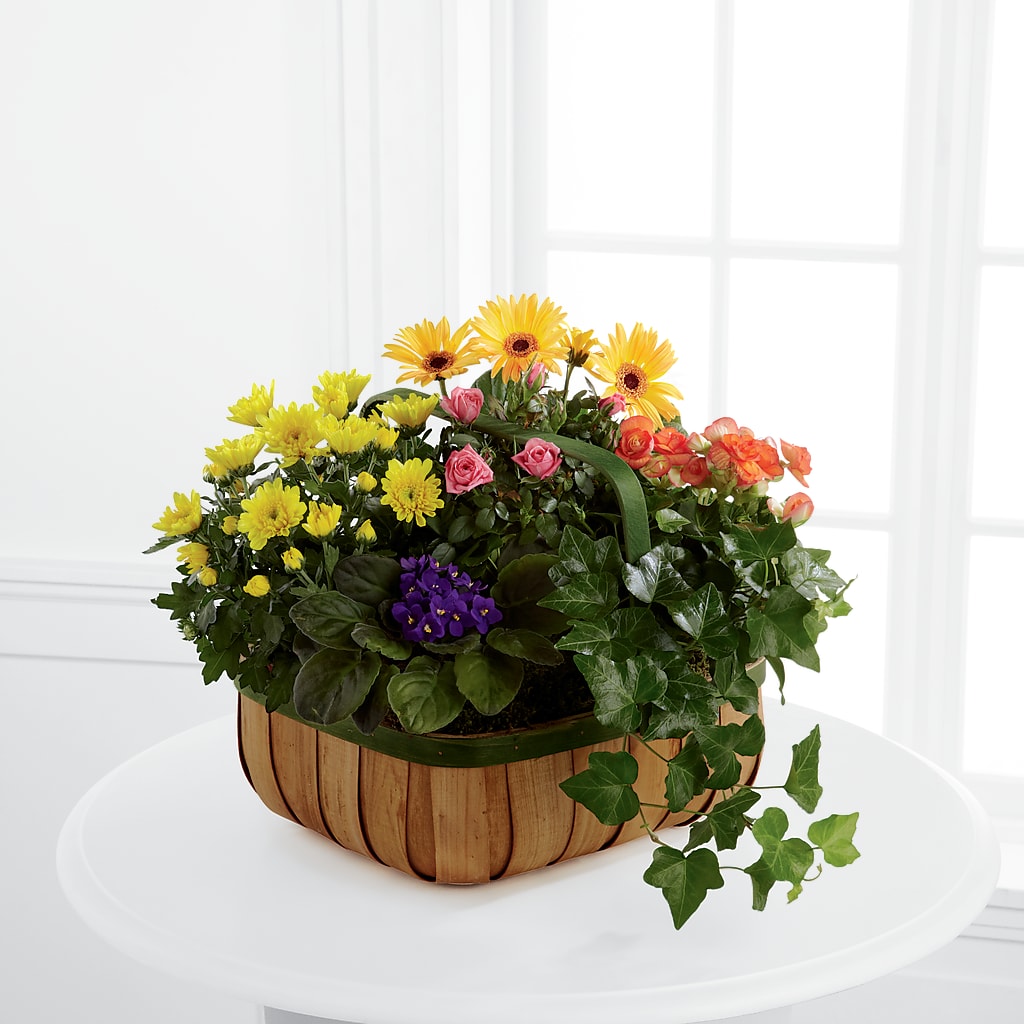 Gentle Blossoms Basket – Flowers By Van Brunt, Long Branch NJ