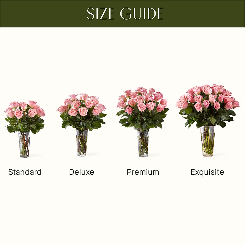 Long Stem Pink Rose Bouquet – Flowers By Van Brunt, Long Branch NJ