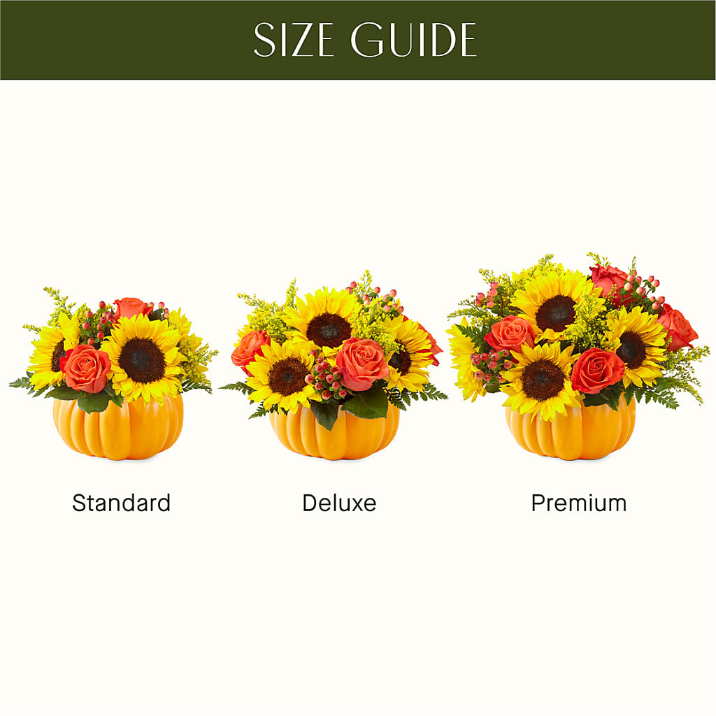 Pick of the Patch Pumpkin Bouquet – Flowers By Van Brunt, Long Branch NJ