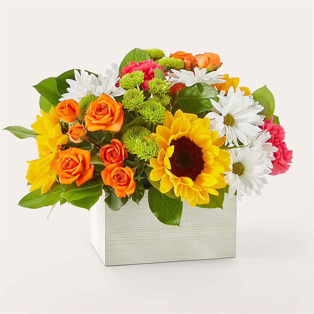 Sun-drenched Blooms Box Bouquet – Flowers By Van Brunt, Long Branch NJ