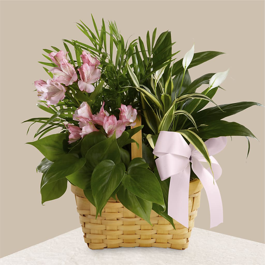 Living Spirit Dishgarden – Flowers By Van Brunt, Long Branch NJ