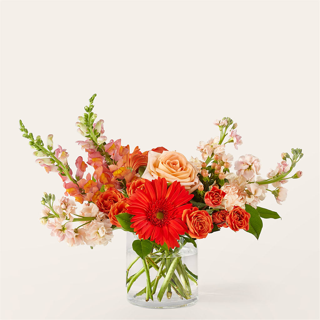 Paloma Please Bouquet – Flowers By Van Brunt, Long Branch NJ