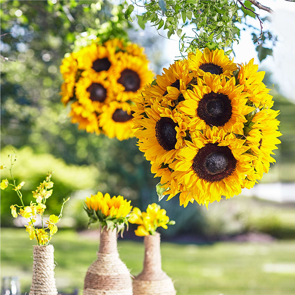 Sublime Garden Hanging Arrangement – Flowers By Van Brunt, Long Branch NJ