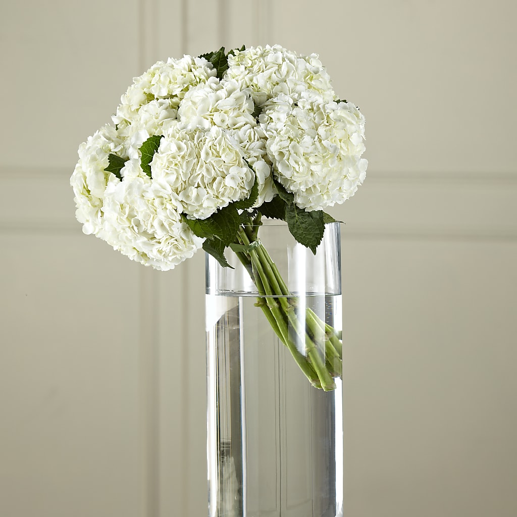 White Hydrangea Hand-Tied Bouquet – Flowers By Van Brunt, Long Branch NJ