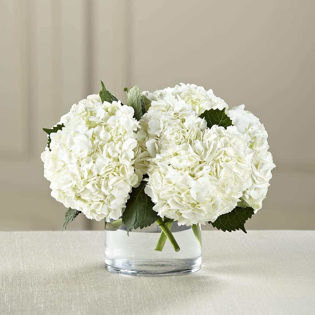 White Hydrangea Bouquet – Flowers By Van Brunt, Long Branch NJ