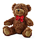 Adorable Plush Bear –  Flowers By Van Brunt, Long Branch NJ