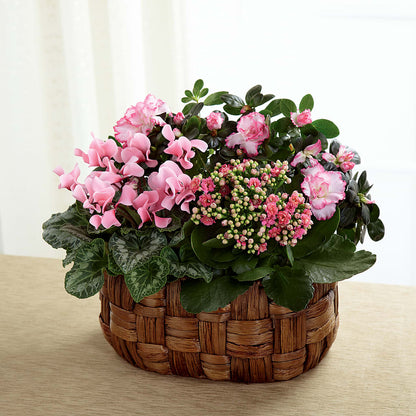 Pink Assortment –  Flowers By Van Brunt, Long Branch NJ