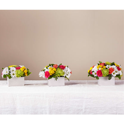 Sorbet Bouquet –  Flowers By Van Brunt, Long Branch NJ