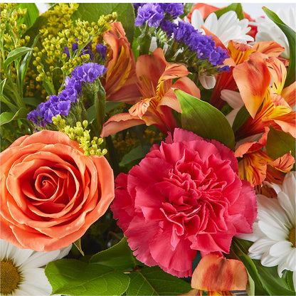 Oopsie Daisy Box Bouquet –  Flowers By Van Brunt, Long Branch NJ