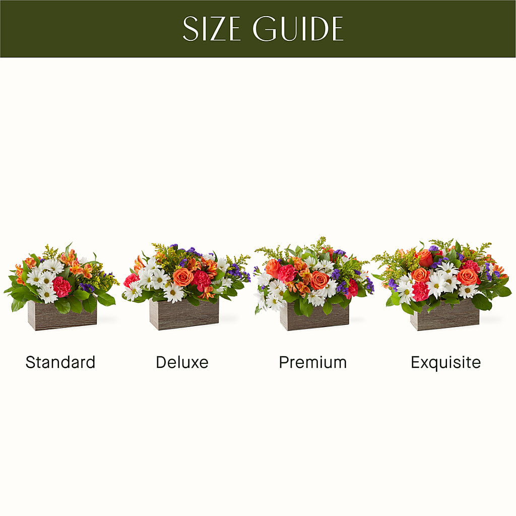 Oopsie Daisy Box Bouquet –  Flowers By Van Brunt, Long Branch NJ
