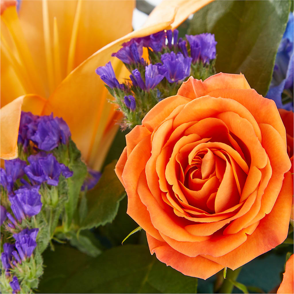 Radiant Citrus Box Bouquet –  Flowers By Van Brunt, Long Branch NJ