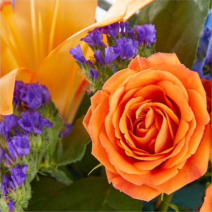 Radiant Citrus Box Bouquet –  Flowers By Van Brunt, Long Branch NJ