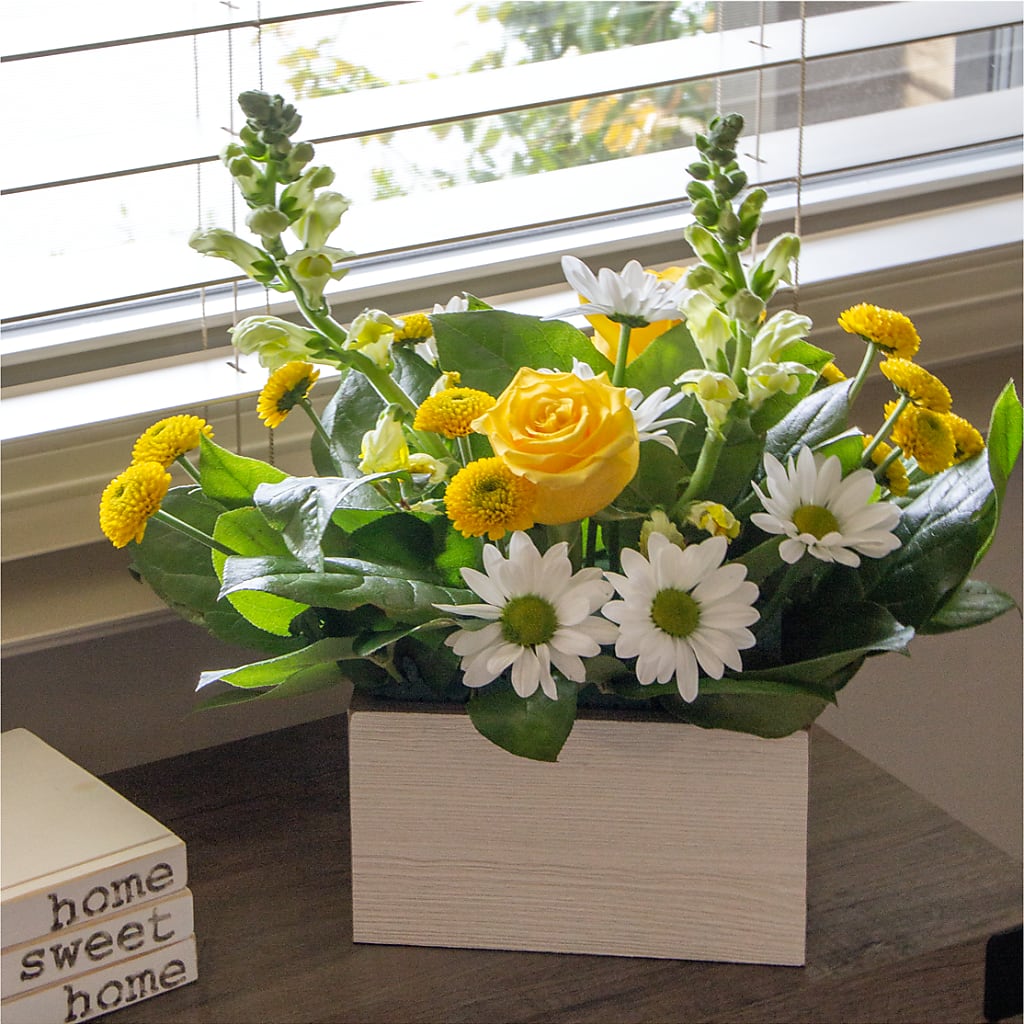 Sun Salutation Box Bouquet –  Flowers By Van Brunt, Long Branch NJ