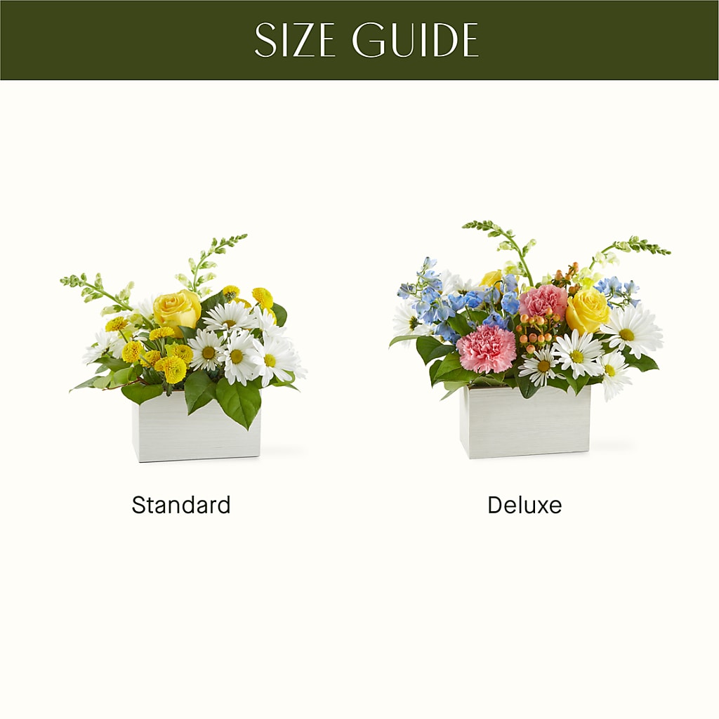 Sun Salutation Box Bouquet –  Flowers By Van Brunt, Long Branch NJ