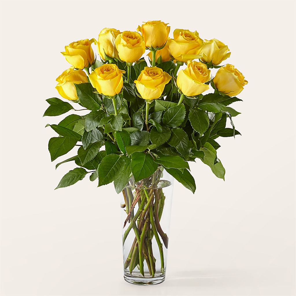 Long Stem Yellow Rose Bouquet –  Flowers By Van Brunt, Long Branch NJ