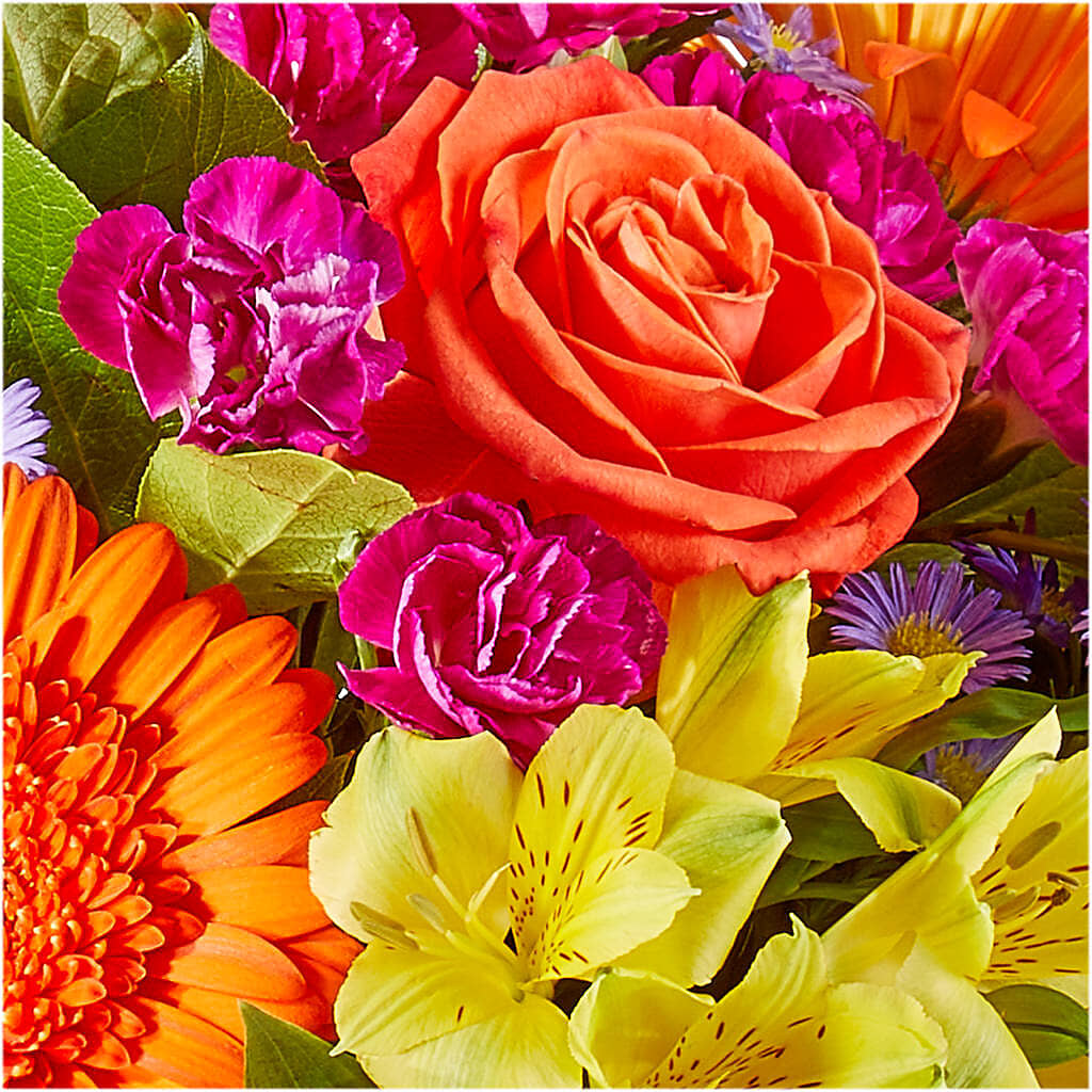 Tricks & Treats Pumpkin –  Flowers By Van Brunt, Long Branch NJ