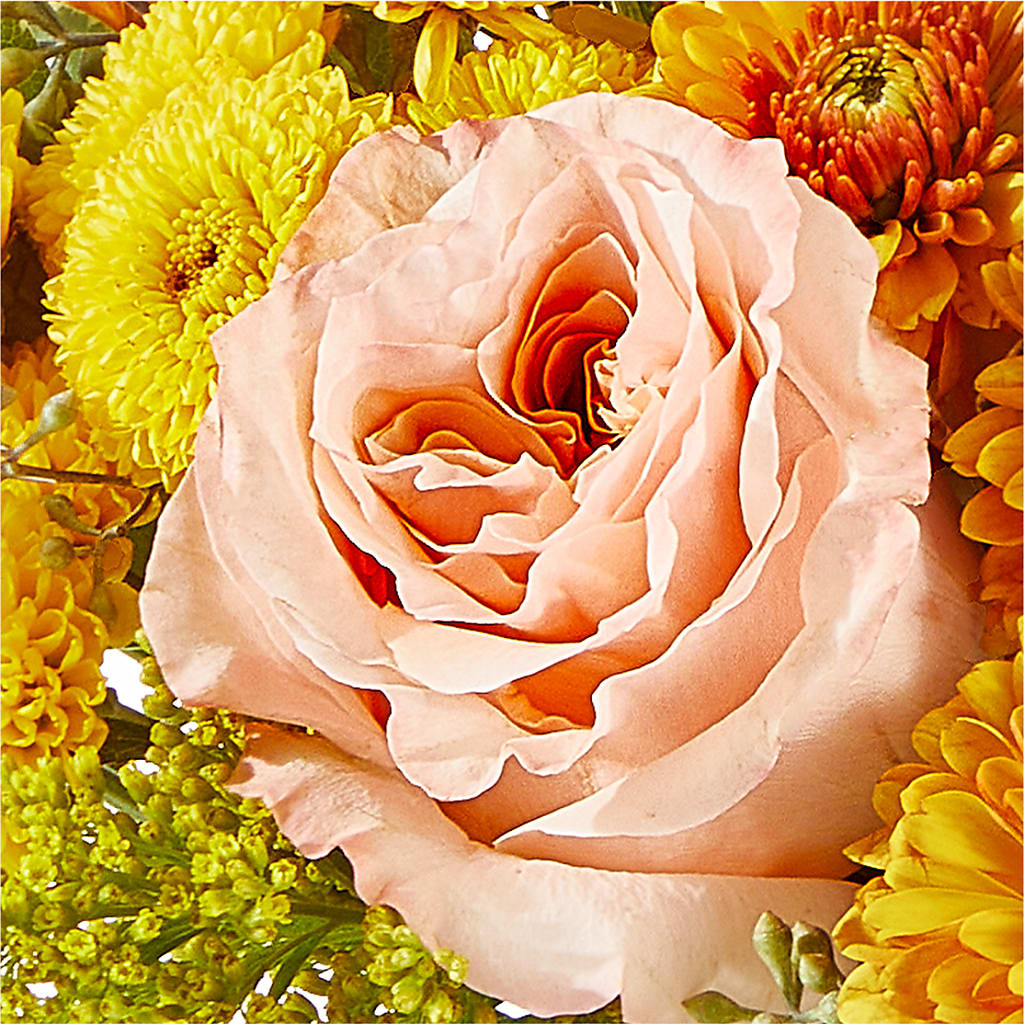 Peachy Pumpkin –  Flowers By Van Brunt, Long Branch NJ