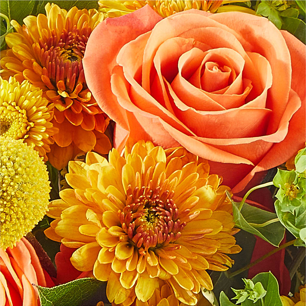 Gourdgeous Pumpkin –  Flowers By Van Brunt, Long Branch NJ