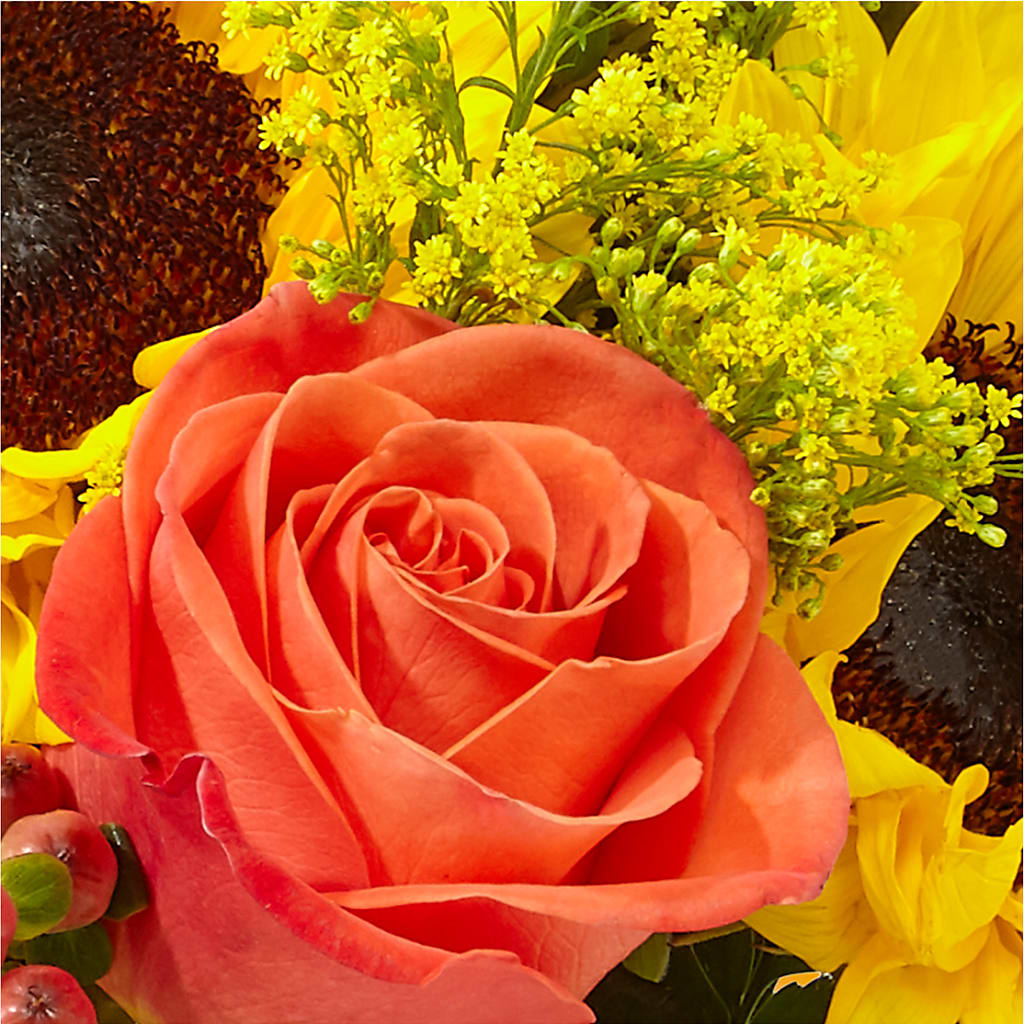 Pick of the Patch Pumpkin Bouquet –  Flowers By Van Brunt, Long Branch NJ