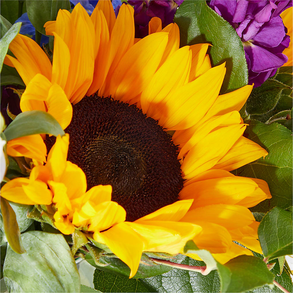 Catching Rays Bouquet –  Flowers By Van Brunt, Long Branch NJ