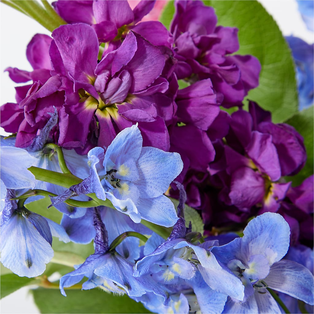 Twilight Glow Bouquet –  Flowers By Van Brunt, Long Branch NJ