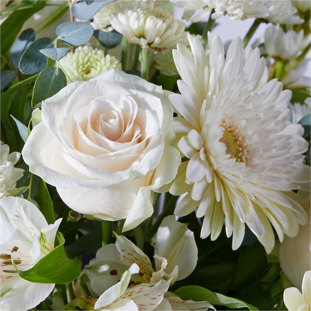 New Beginnings – A Florist Original –  Flowers By Van Brunt, Long Branch NJ