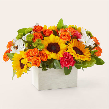 Sun-drenched Blooms Box Bouquet –  Flowers By Van Brunt, Long Branch NJ