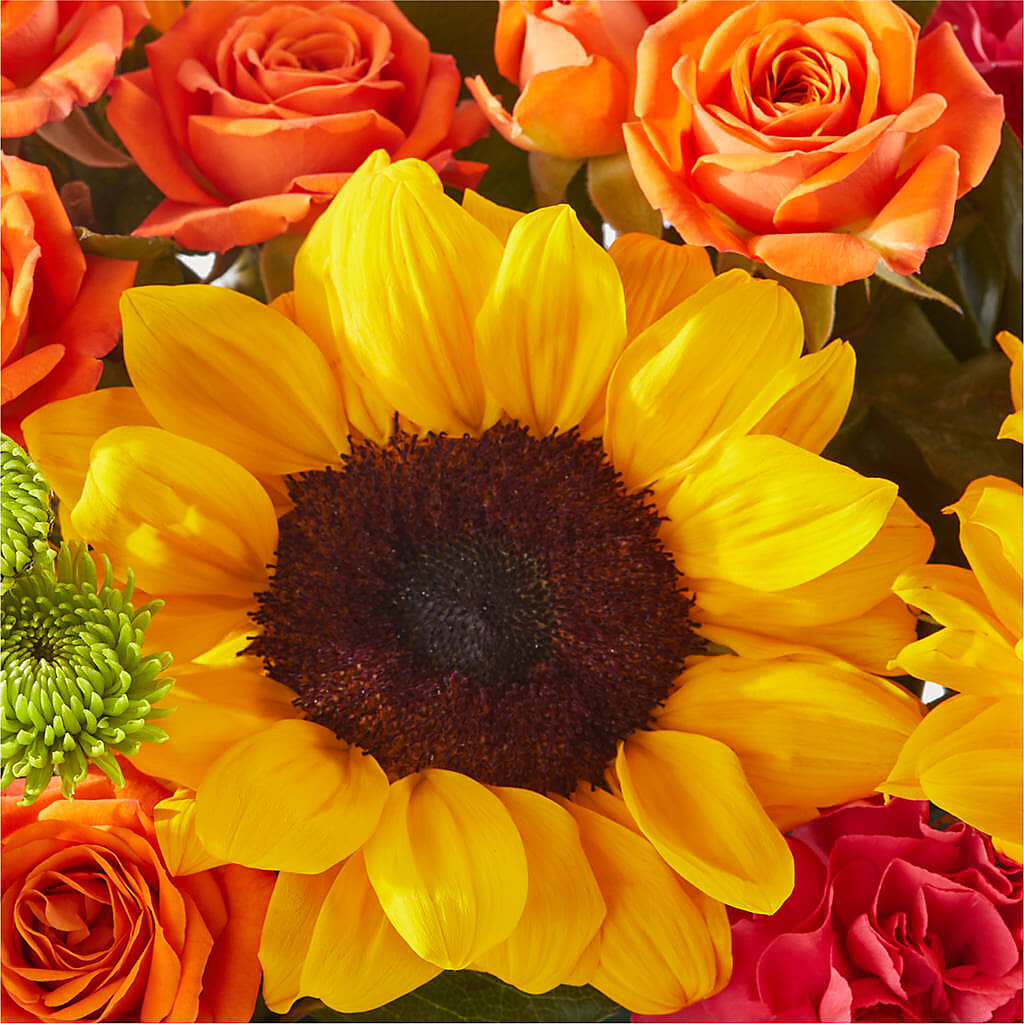 Sun-drenched Blooms Box Bouquet –  Flowers By Van Brunt, Long Branch NJ