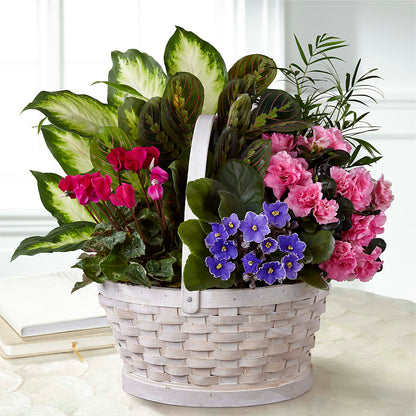 Peaceful Garden Planter –  Flowers By Van Brunt, Long Branch NJ