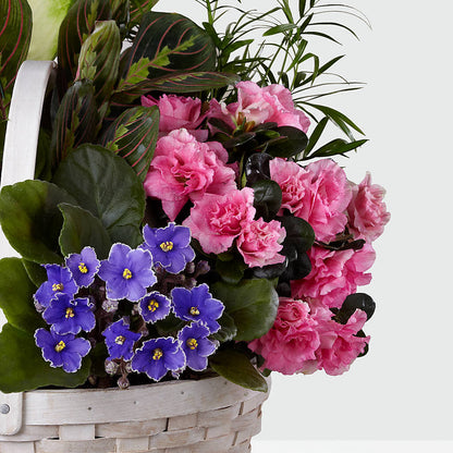Peaceful Garden Planter –  Flowers By Van Brunt, Long Branch NJ