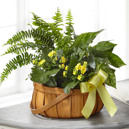 Always Dear Dishgarden –  Flowers By Van Brunt, Long Branch NJ