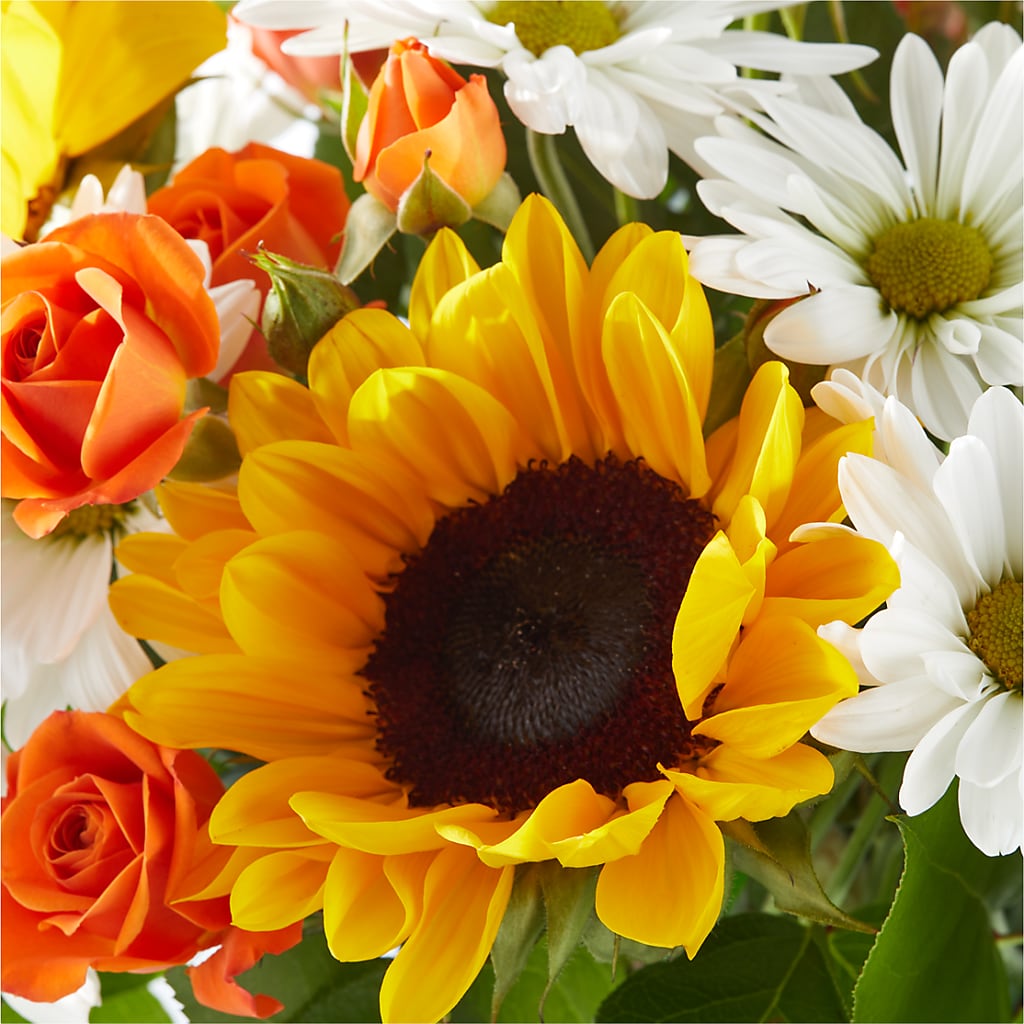 Sun-drenched Blooms Bouquet –  Flowers By Van Brunt, Long Branch NJ