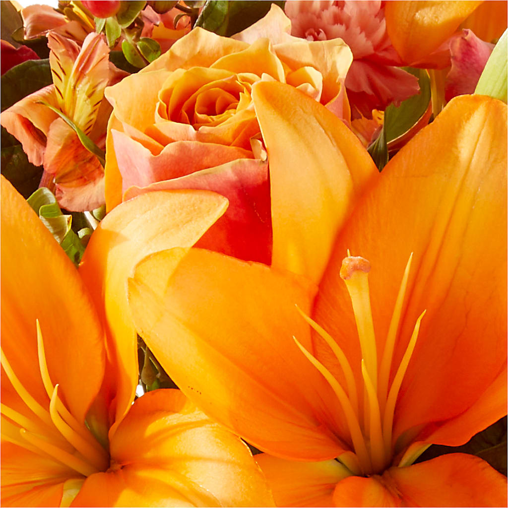 Afternoon Light Bouquet –  Flowers By Van Brunt, Long Branch NJ