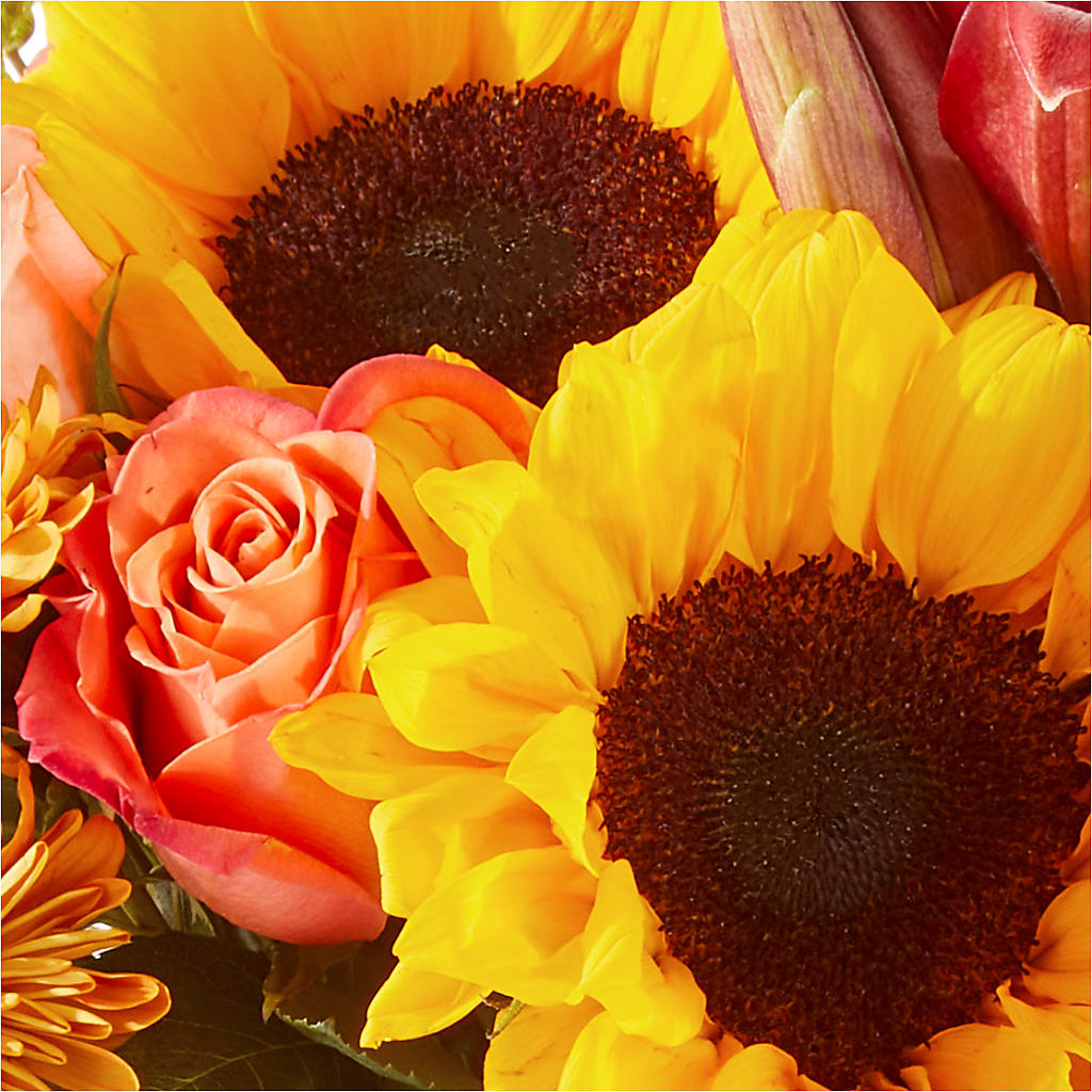 Acorn Lane Bouquet –  Flowers By Van Brunt, Long Branch NJ