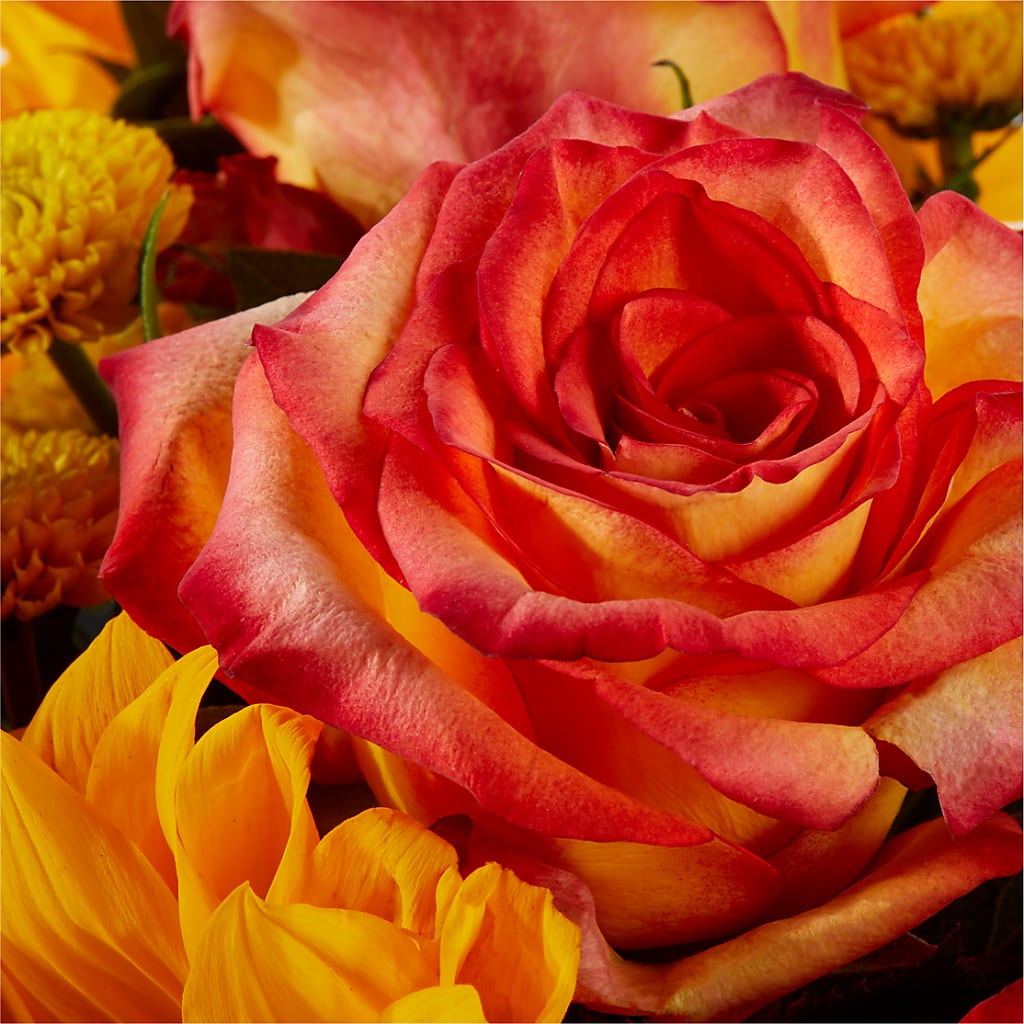 Picnic in the Park Bouquet –  Flowers By Van Brunt, Long Branch NJ
