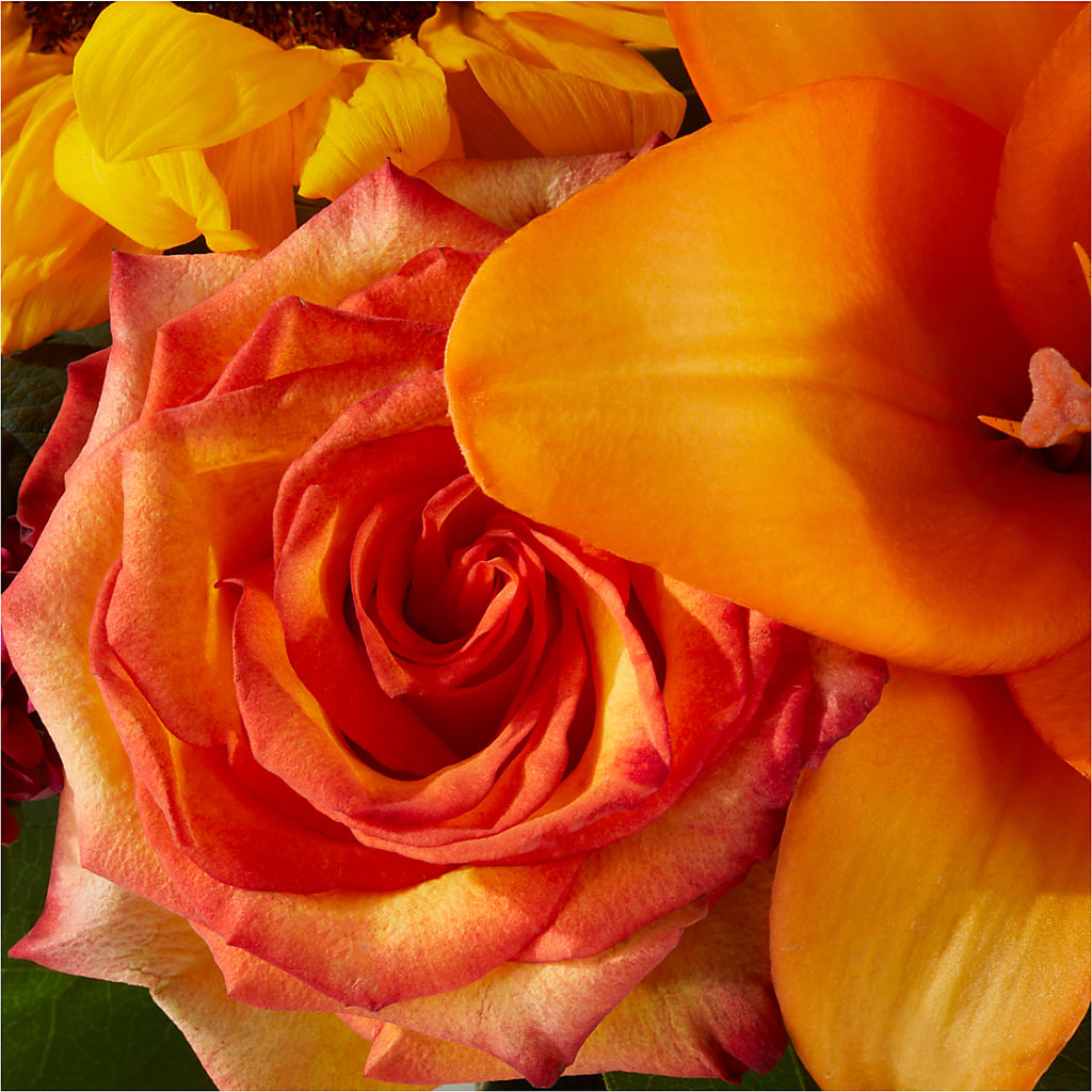 Grateful Centerpiece –  Flowers By Van Brunt, Long Branch NJ