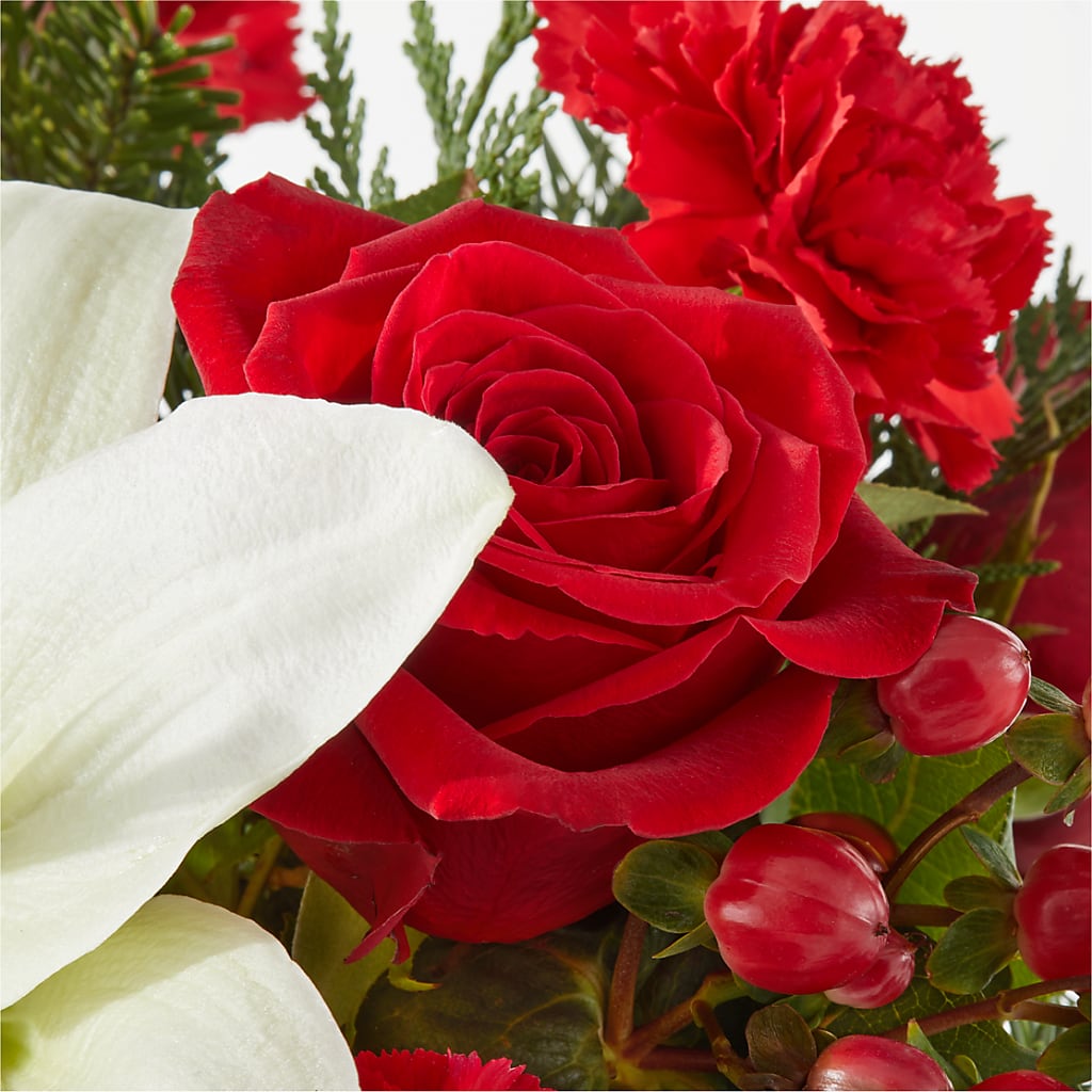 Oh So Jolly Bouquet –  Flowers By Van Brunt, Long Branch NJ