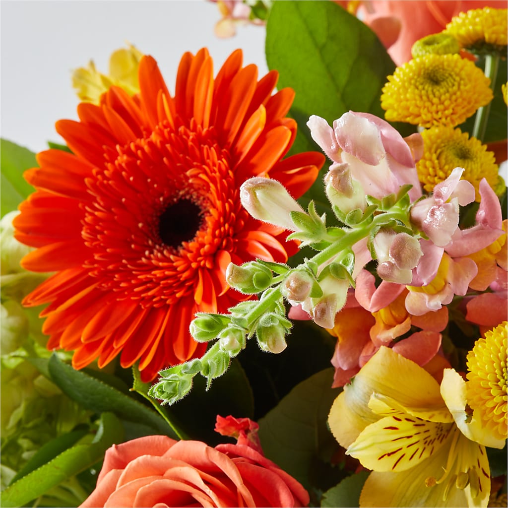 Autumn Sunshine Bouquet –  Flowers By Van Brunt, Long Branch NJ