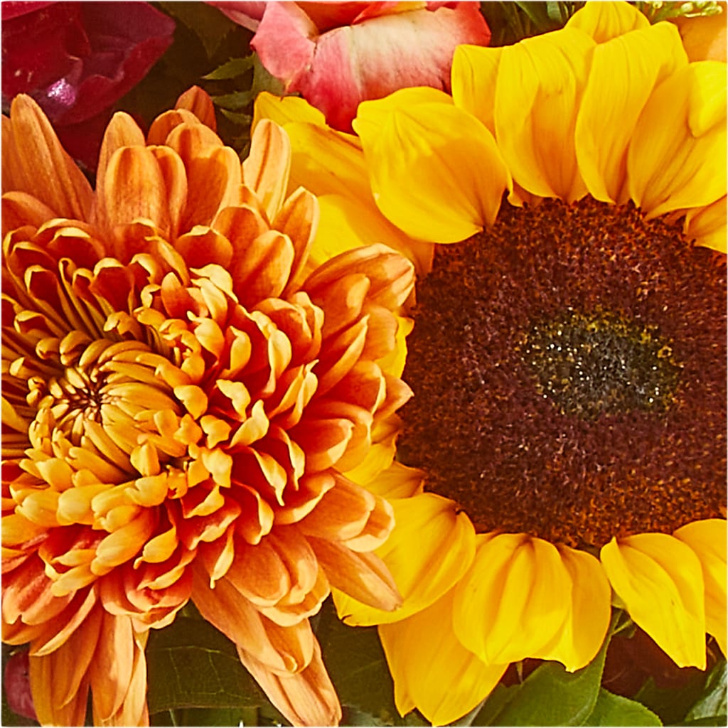 Seasons Change Bouquet –  Flowers By Van Brunt, Long Branch NJ