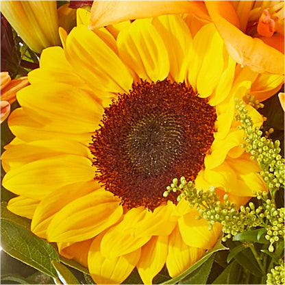 Seasons Change Bouquet –  Flowers By Van Brunt, Long Branch NJ