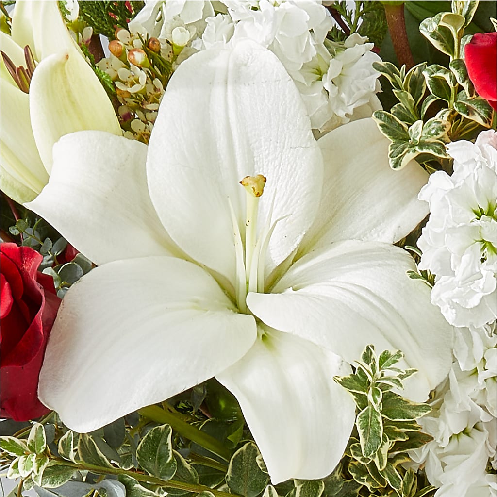 Twinkle Lights Bouquet –  Flowers By Van Brunt, Long Branch NJ