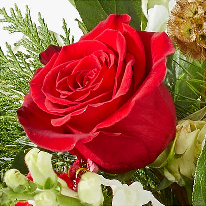 Deck the Halls Bouquet –  Flowers By Van Brunt, Long Branch NJ
