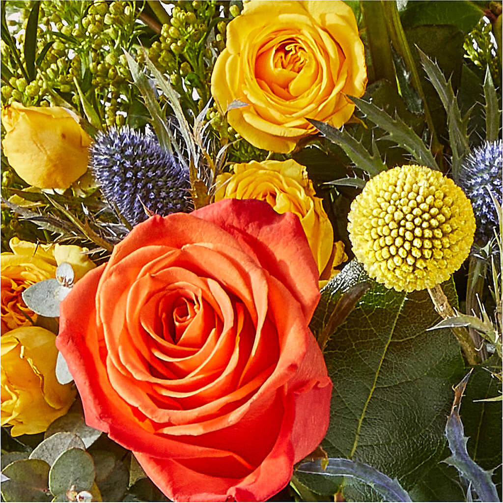 Disco Bouquet –  Flowers By Van Brunt, Long Branch NJ
