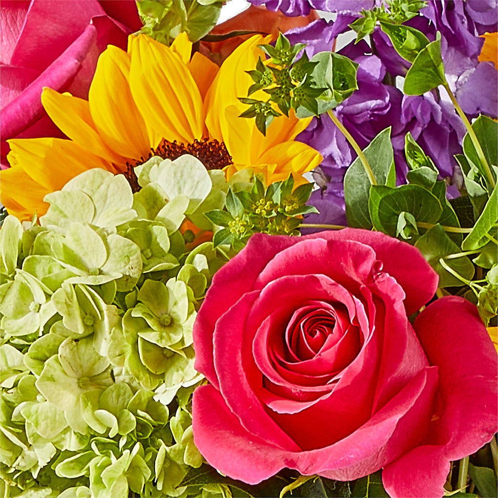 Vibrant Greetings Bouquet –  Flowers By Van Brunt, Long Branch NJ