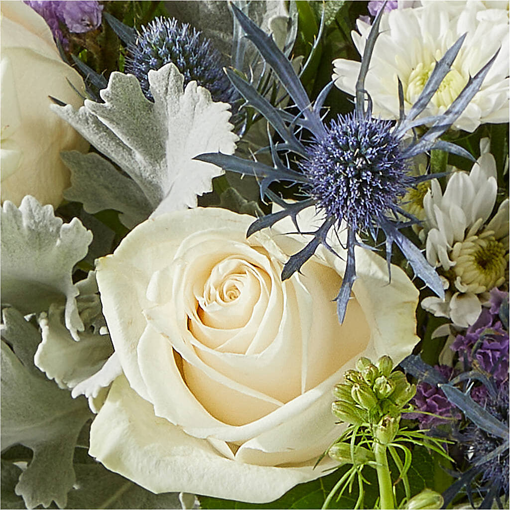 Shooting Star Bouquet –  Flowers By Van Brunt, Long Branch NJ