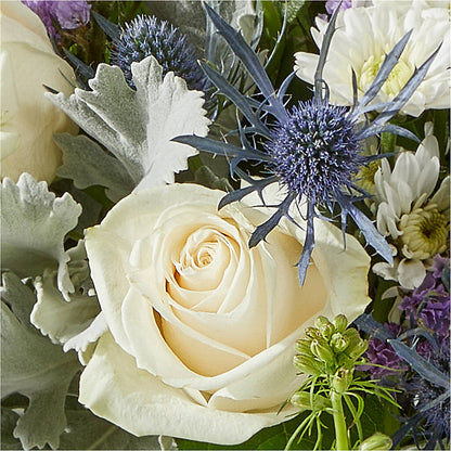 Shooting Star Bouquet –  Flowers By Van Brunt, Long Branch NJ