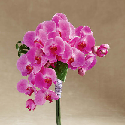 Glorious Bouquet –  Flowers By Van Brunt, Long Branch NJ
